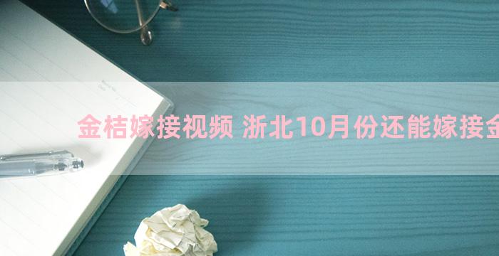 金桔嫁接视频 浙北10月份还能嫁接金桔吗